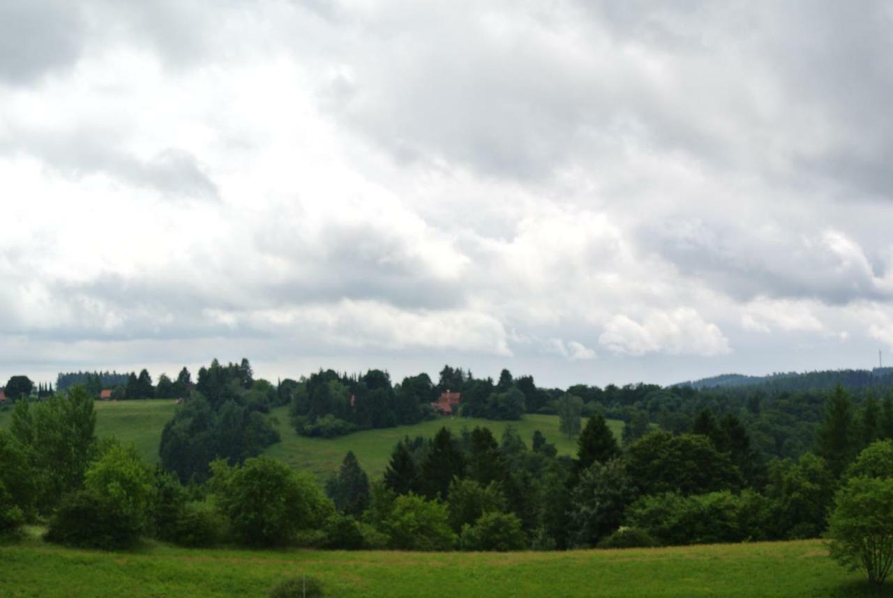 Ferienwohnung Harz-Flair 264 Hohegeiß Екстериор снимка