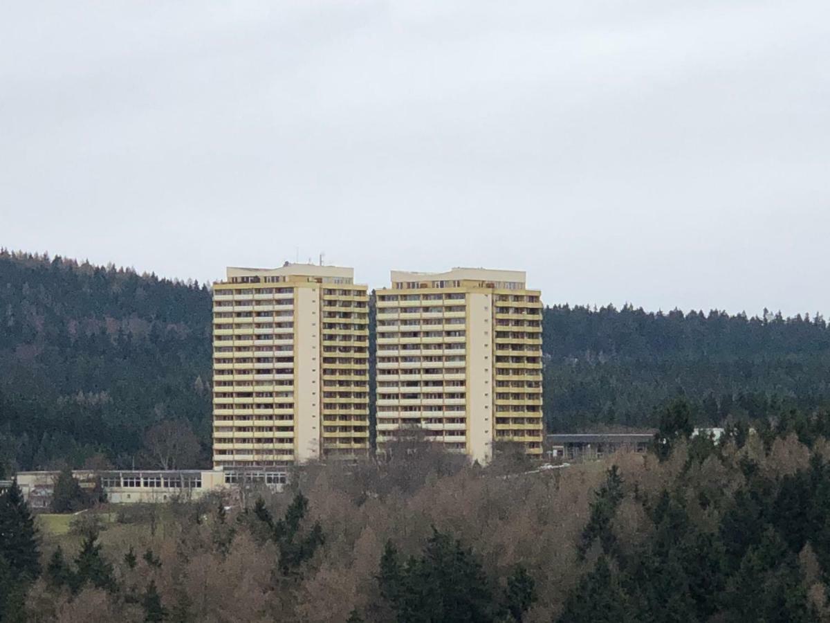 Ferienwohnung Harz-Flair 264 Hohegeiß Екстериор снимка